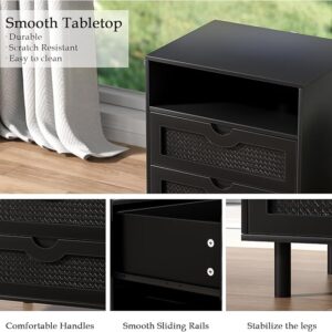 Giluta Rattan Nightstand with 2 Drawers - Image 5