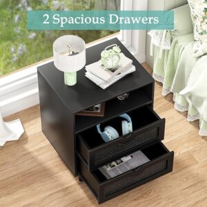 Giluta Rattan Nightstand with 2 Drawers - Image 6